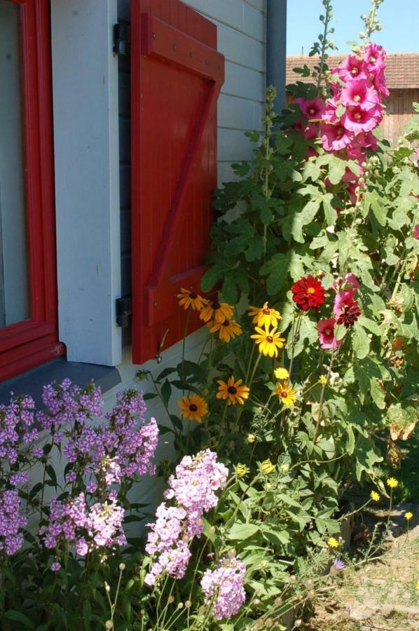 B&B La Maison Des Collines Autour Chambres D'Hotes La Chapelle  Kültér fotó